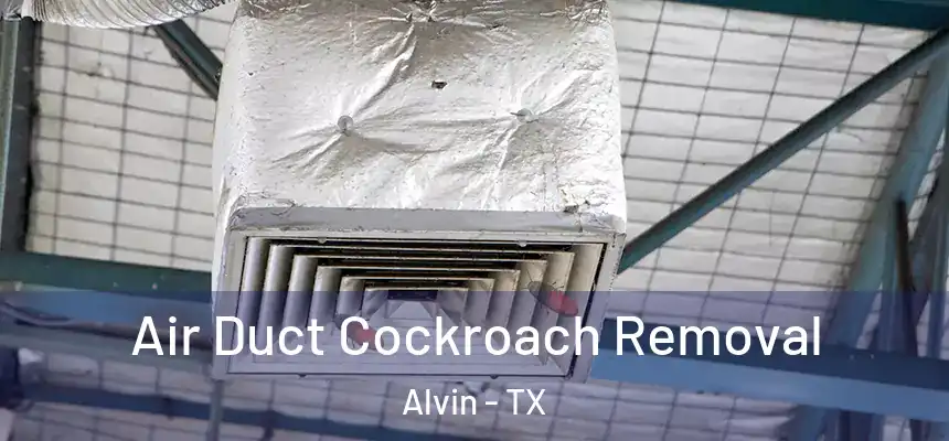 Air Duct Cockroach Removal Alvin - TX