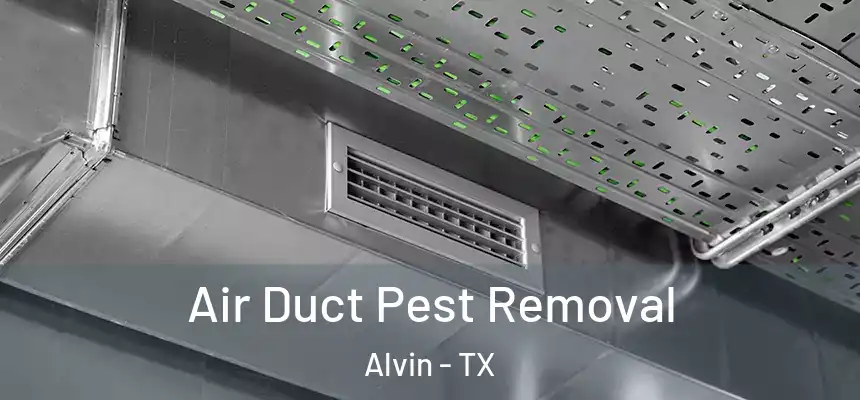 Air Duct Pest Removal Alvin - TX