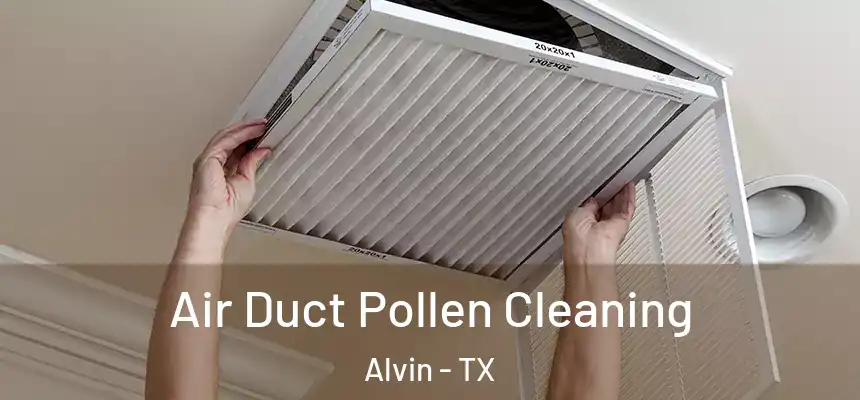Air Duct Pollen Cleaning Alvin - TX