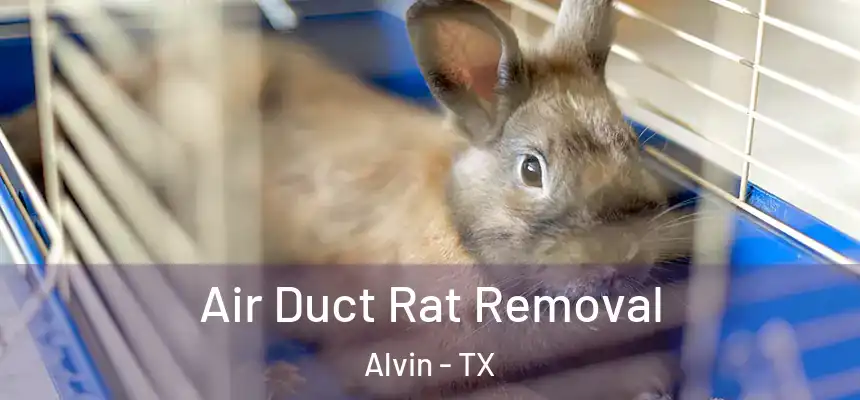  Air Duct Rat Removal Alvin - TX