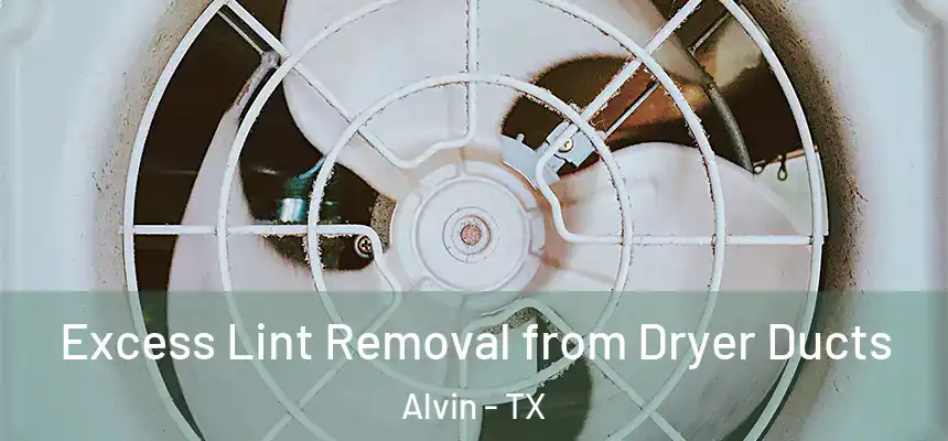 Excess Lint Removal from Dryer Ducts Alvin - TX