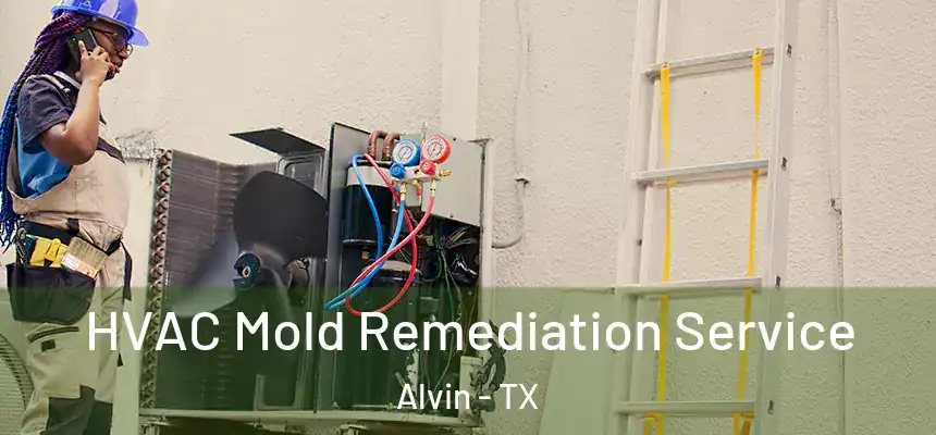  HVAC Mold Remediation Service Alvin - TX
