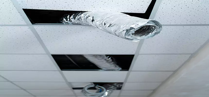 Our Air Duct Pet Hair Removal Services in Alvin, TX