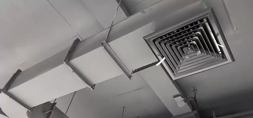 Restorative Allergy Relief Vent Cleaning – Coil, Blower & Housing Detail in Alvin