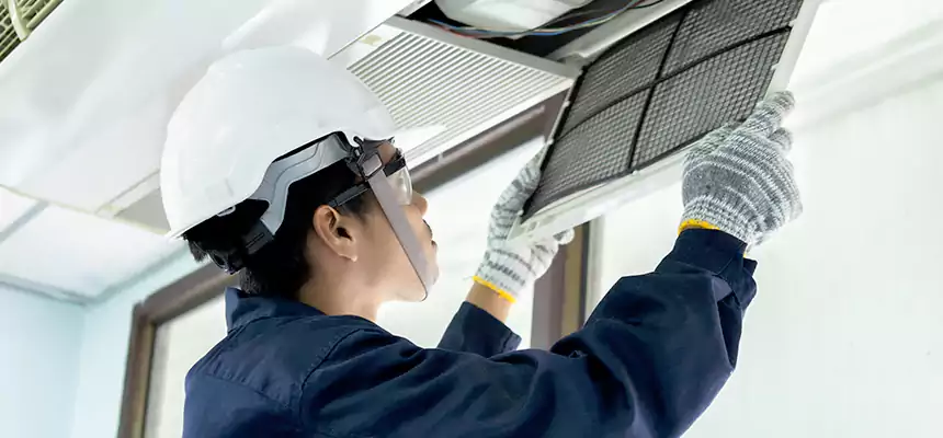 Our Mold & Mildew Removal from Air Ducts Services in Alvin, TX