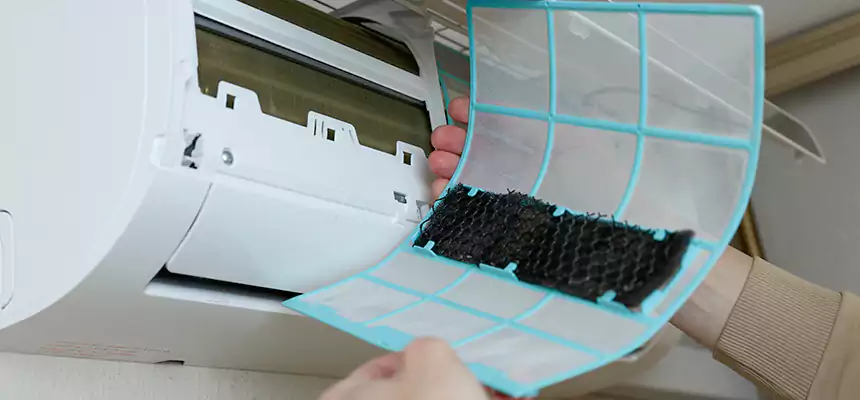 Gentle Ductwork Odor-Control Pet Dander Duct Cleaning in Alvin, TX