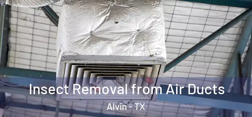  Insect Removal from Air Ducts Alvin - TX