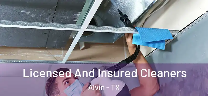 Licensed And Insured Cleaners Alvin - TX