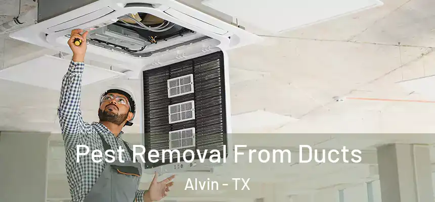 Pest Removal From Ducts Alvin - TX
