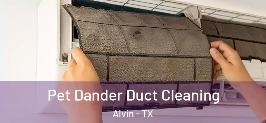 Pet Dander Duct Cleaning Alvin - TX