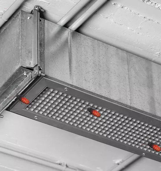 About Air Duct Cockroach Removal in Alvin, TX