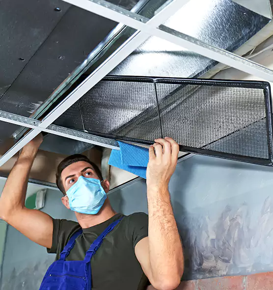 Professional Air Duct Pollen Cleaning in Alvin, TX