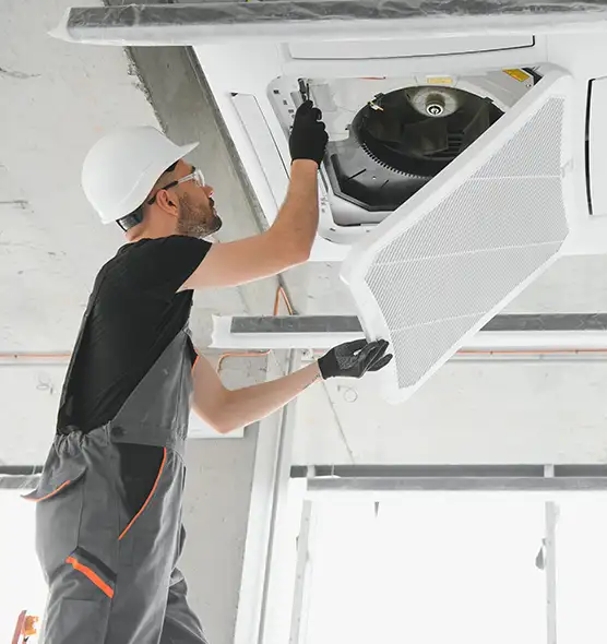 About Air Duct Rodent Removal in Alvin, TX