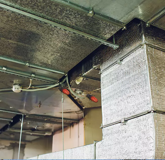 Why Homeowners & Businesses Trust Us in Alvin, TX?