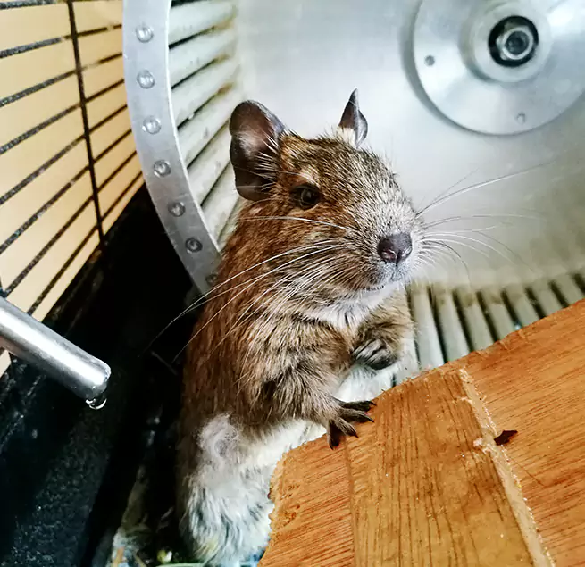 Why Homeowners & Businesses Trust Us Alvin, TX?