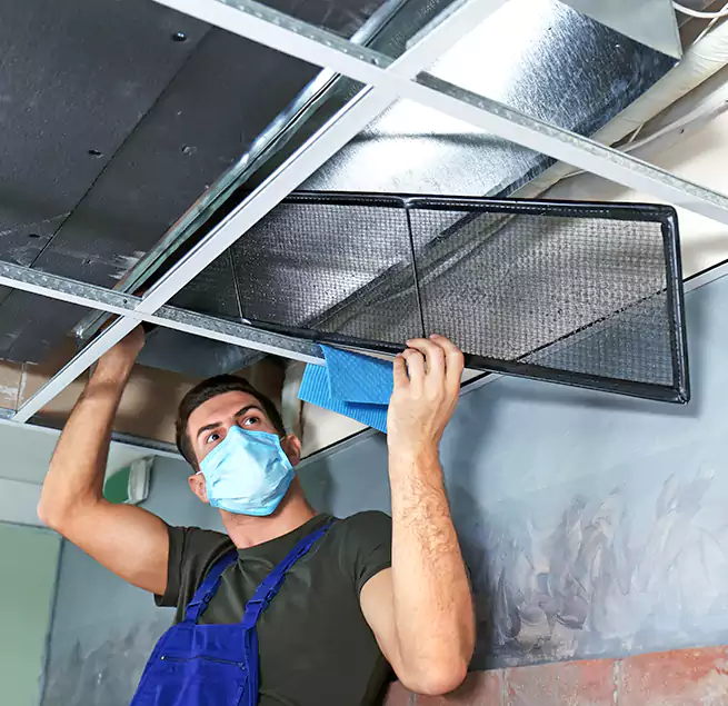 Why Homeowners Businesses Trust Us in Alvin, TX